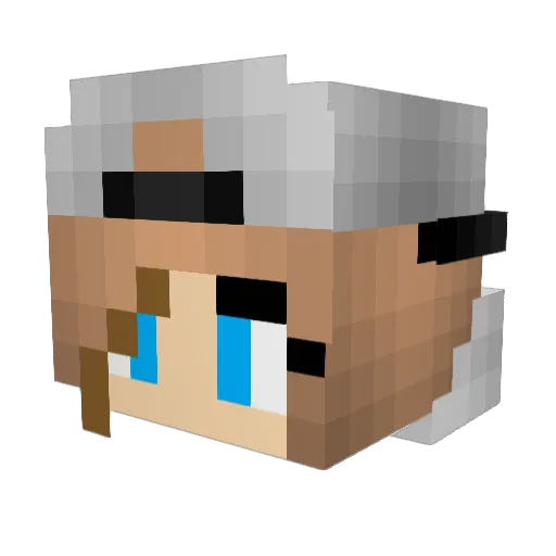 Slimreaperhv Minecraft avatar head, 3D render