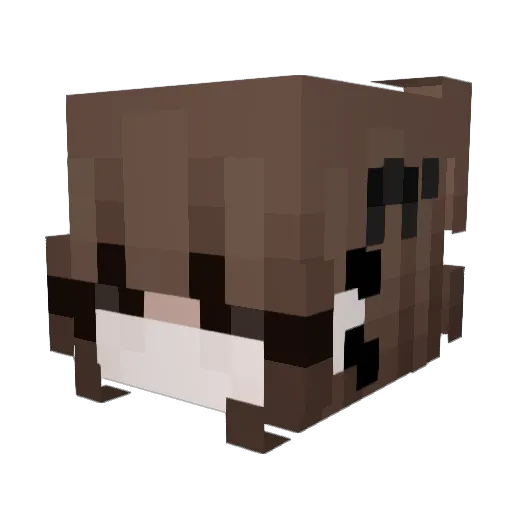 Slimyy_ Minecraft avatar head, 3D render