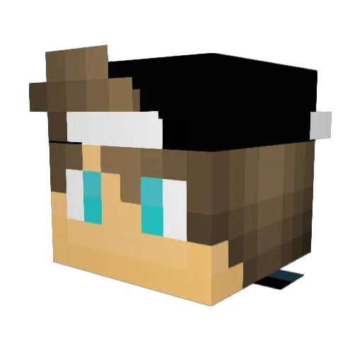 Slin1011 Minecraft avatar head, 3D render