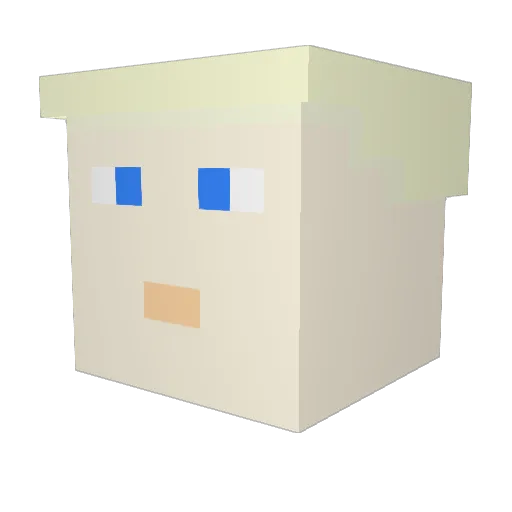 Slinix65 Minecraft avatar head, 3D render