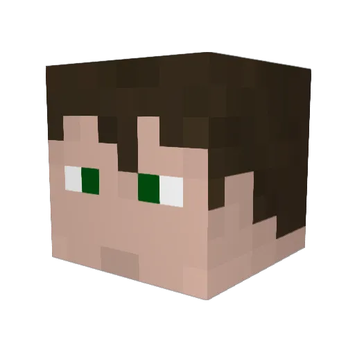 Slink64 Minecraft avatar head, 3D render