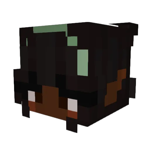 SlinkyRacoons Minecraft avatar head, 3D render