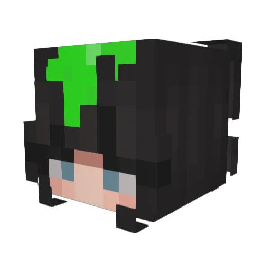 SlipperyJester Minecraft avatar head, 3D render