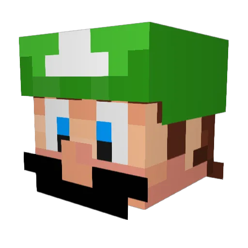 SlippyTheBoi Minecraft avatar head, 3D render