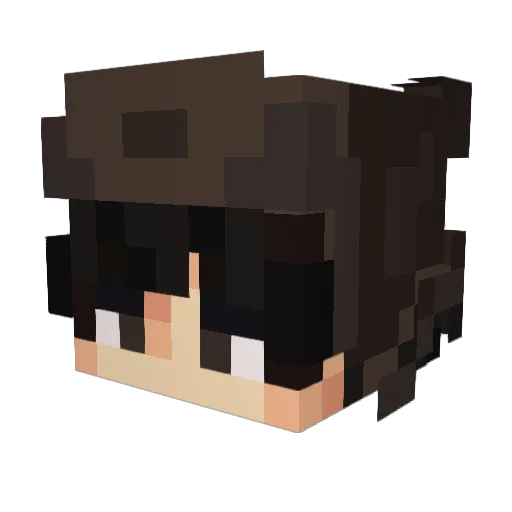 Slippy_69 Minecraft avatar head, 3D render