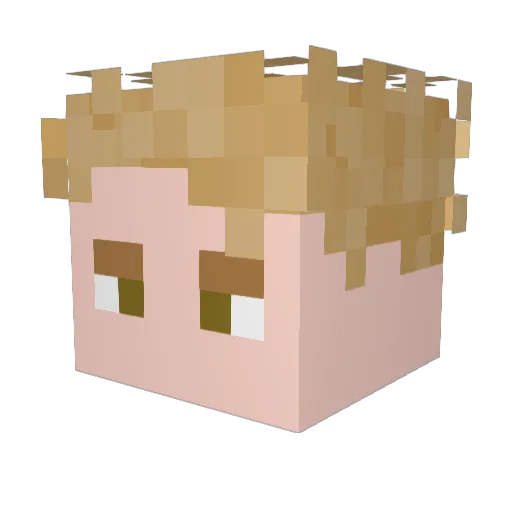 Slippy_xD Minecraft avatar head, 3D render