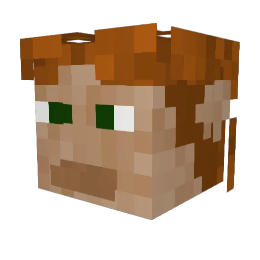 Slippyskuig55 Minecraft avatar head, 3D render