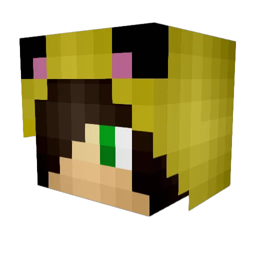 Sliseal Minecraft avatar head, 3D render