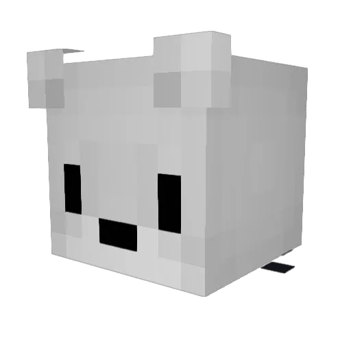 Sliser123 Minecraft avatar head, 3D render