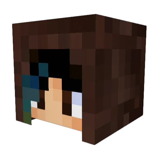 Slitherss Minecraft avatar head, 3D render