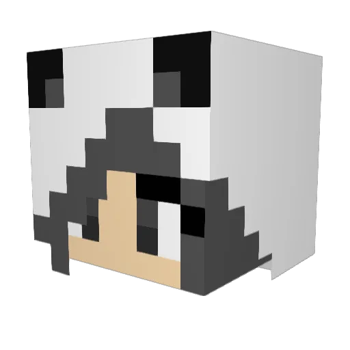 Slivers Minecraft avatar head, 3D render
