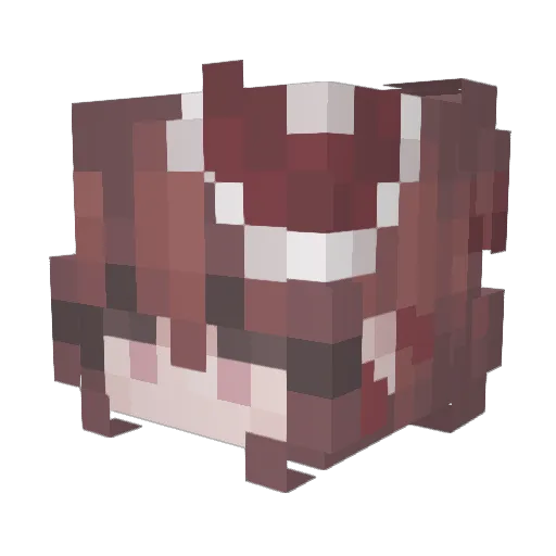 Sliwecka4 Minecraft avatar head, 3D render
