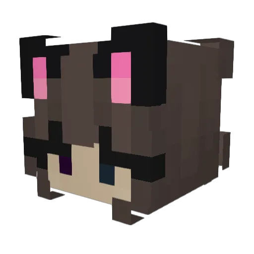 Sllimey Minecraft avatar head, 3D render