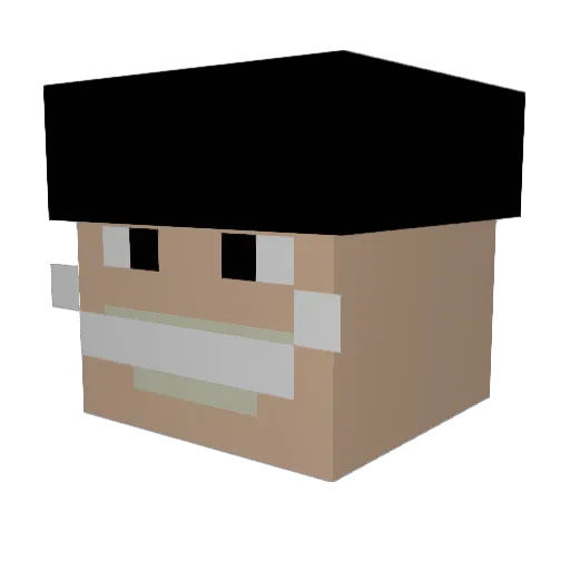 Slmoli Minecraft avatar head, 3D render