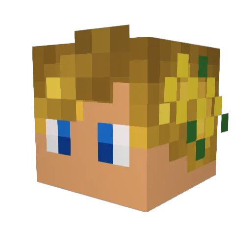 SloWLexia Minecraft avatar head, 3D render