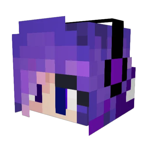 SloWise Minecraft avatar head, 3D render
