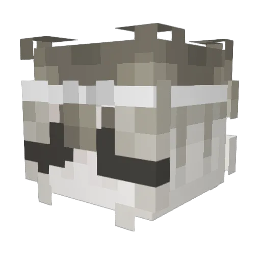 Sloanrty Minecraft avatar head, 3D render