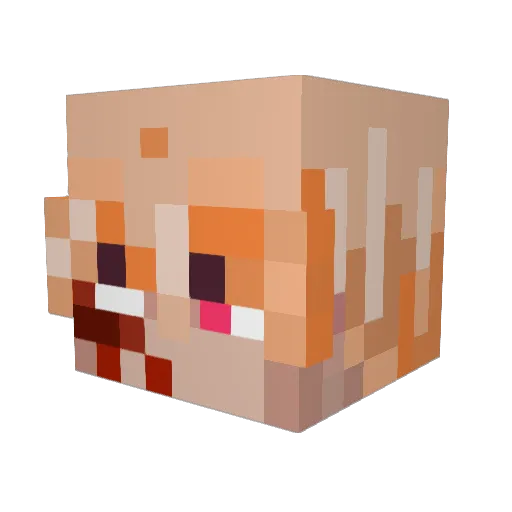 Slogan24 Minecraft avatar head, 3D render