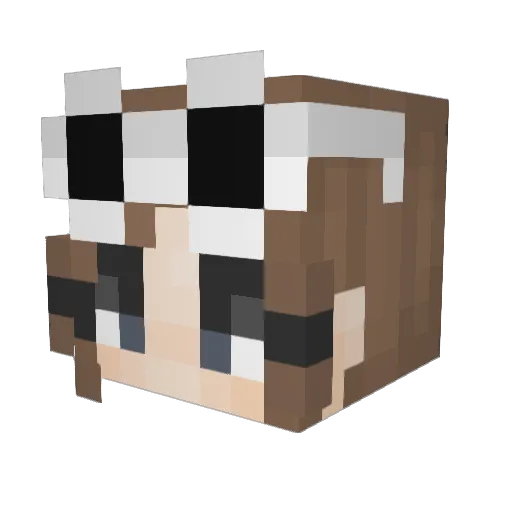Slonia Minecraft avatar head, 3D render