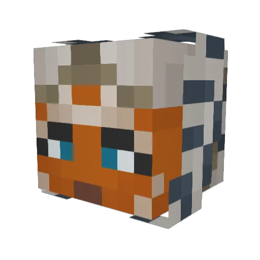 Slonker Minecraft avatar head, 3D render
