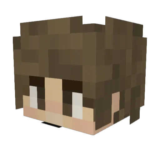 Sloorps Minecraft avatar head, 3D render