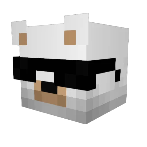 SlootMeneer Minecraft avatar head, 3D render
