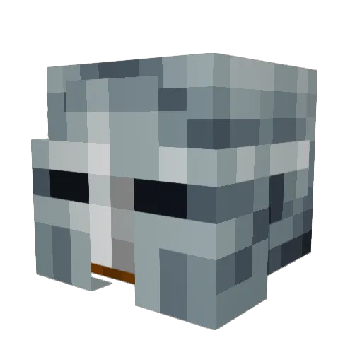 Sloover_123 Minecraft avatar head, 3D render