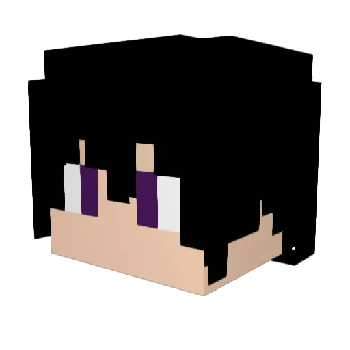 SlopTart505 Minecraft avatar head, 3D render