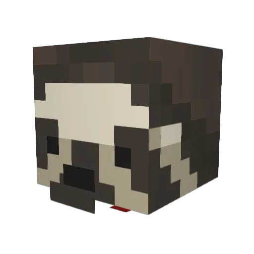 Slophiee Minecraft avatar head, 3D render