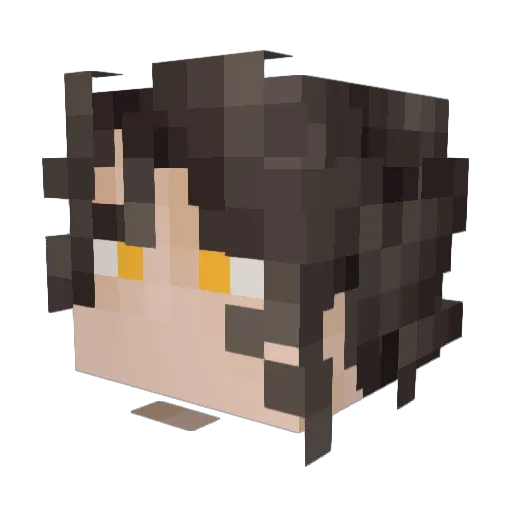 SloppyToppyGawk Minecraft avatar head, 3D render