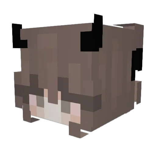 Sloppy___ Minecraft avatar head, 3D render