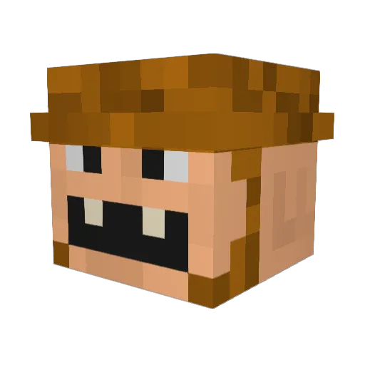 Sloppylewy Minecraft avatar head, 3D render