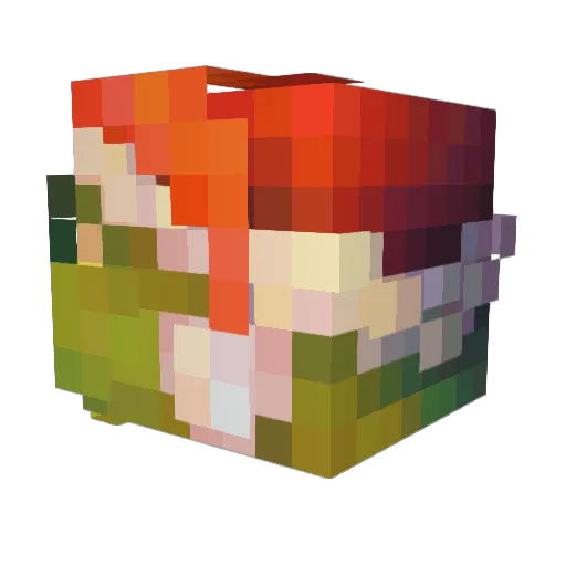 Sloppyturtle13 Minecraft avatar head, 3D render