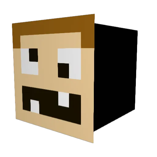 Sloran Minecraft avatar head, 3D render
