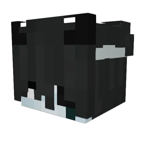 SloshyMC Minecraft avatar head, 3D render
