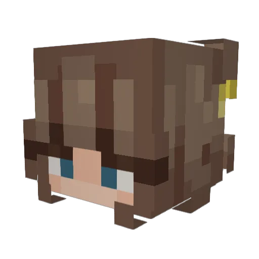 Sloth505010 Minecraft avatar head, 3D render