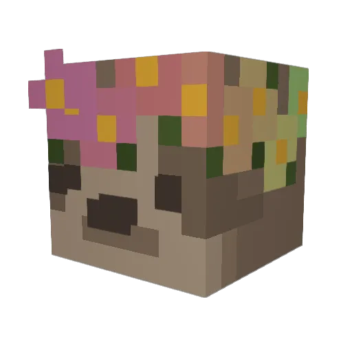 SlothKing98 Minecraft avatar head, 3D render