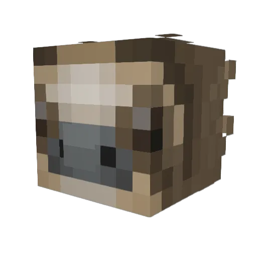 Sloth_DD Minecraft avatar head, 3D render