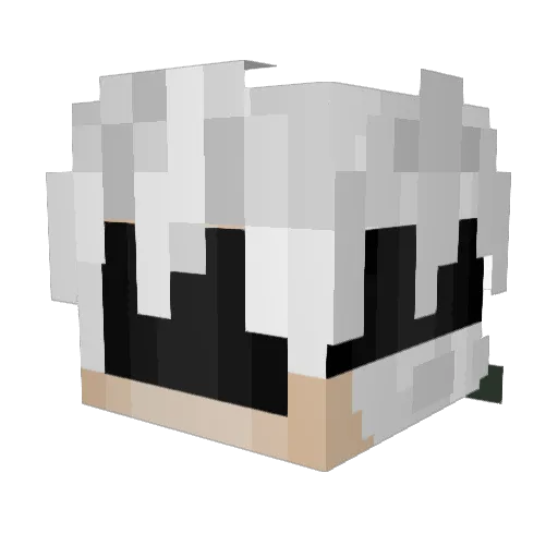 Sloth_zer0 Minecraft avatar head, 3D render
