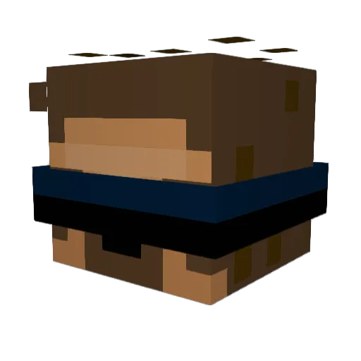 Slotherrr Minecraft avatar head, 3D render