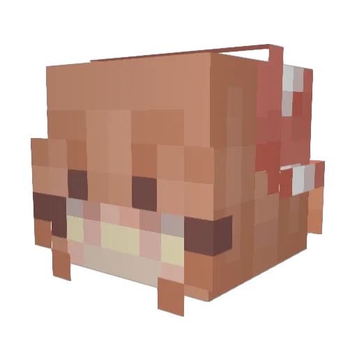 Slothery_Slumber Minecraft avatar head, 3D render