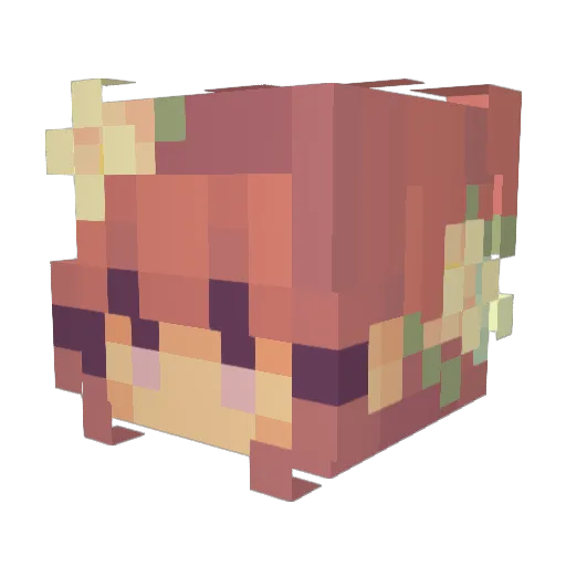 SlothfulQuilter Minecraft avatar head, 3D render