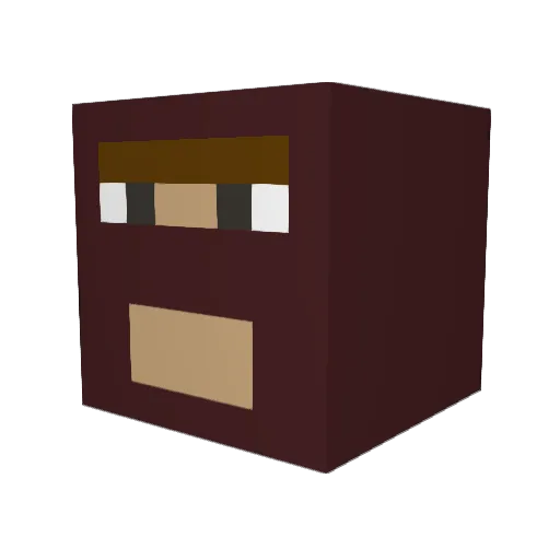 Slothmaster737 Minecraft avatar head, 3D render