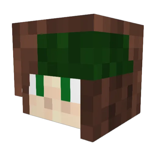 Slothninja19 Minecraft avatar head, 3D render
