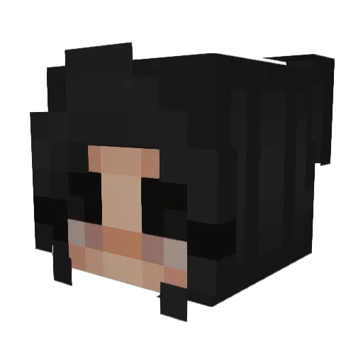SlothoMaster Minecraft avatar head, 3D render