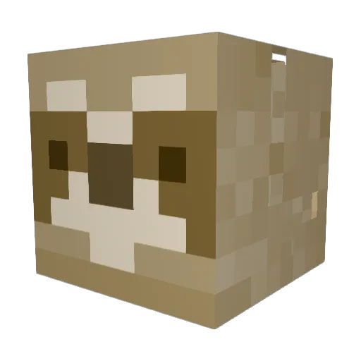 Slothsxsx Minecraft avatar head, 3D render