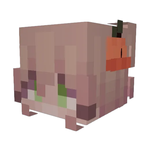 Slothy626 Minecraft avatar head, 3D render