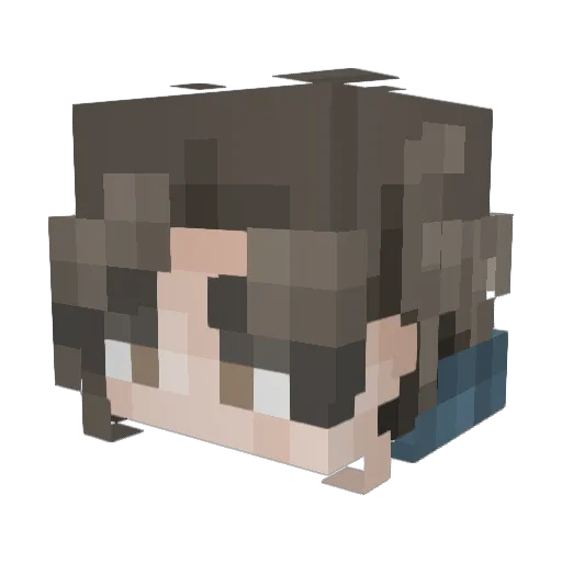 SlovenlyCitizen Minecraft avatar head, 3D render