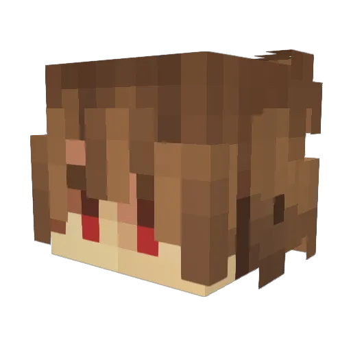 Slow2y Minecraft avatar head, 3D render