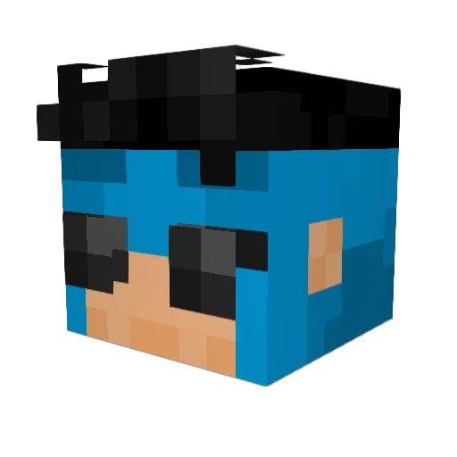 SlowDayy Minecraft avatar head, 3D render